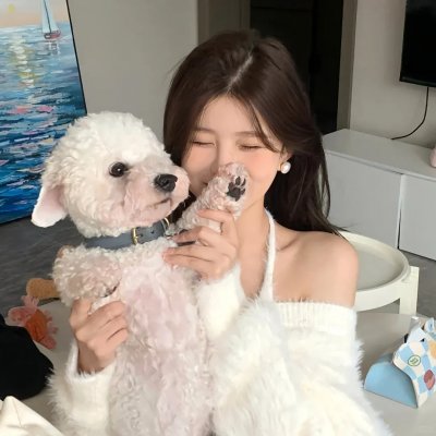 赞美皮蒂